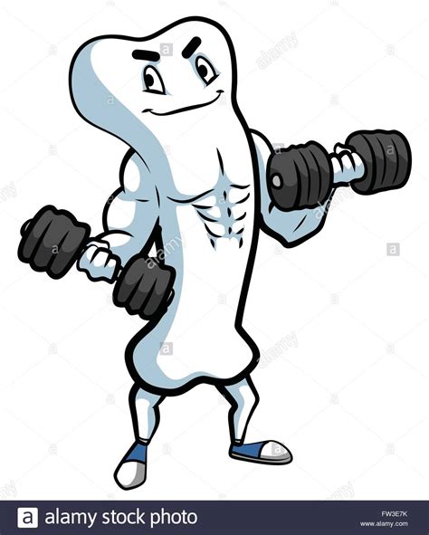 Strong Bones Illustration Stock Vector Images Alamy