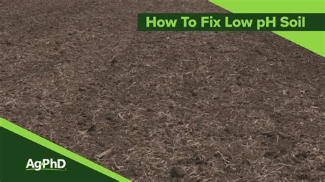 Fixing Low Ph Soils From Ag Phd 1116 Air Date 8 25 19 Youtube