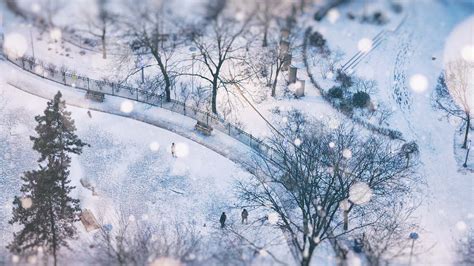 Snowy Day In Toronto Canada © Katrin Ray Shumakovgetty Images Bing