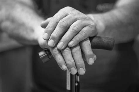 Black And White Photography Hands Senior Man Holding Cane Senior Man