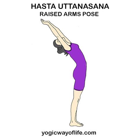 Hasta Uttanasana Raised Arms Pose Yoga Anatomy Yoga Benefits Yoga