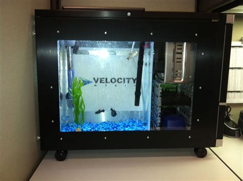 Computer Tower Fish Tank Diy Aquarium For Biology Enthusiasts