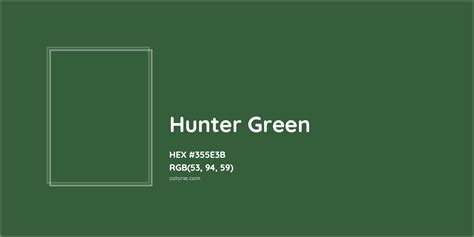Hunter Green 355e3b Tints And Shades