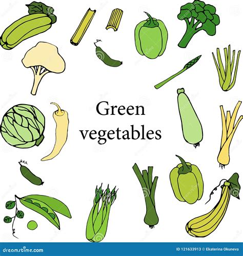 Green Vegetables On White Background Stock Vector Illustration Of