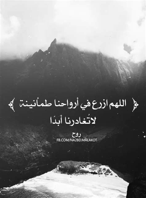 » heedlessness to perseverance with br. Pin by Katrina on الحمدلله. | Wisdom quotes, Islamic quotes, Inspirational quotes
