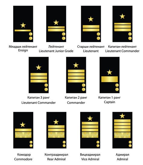Filecommissioned Officer Rank Structure Of The Bulgarian Navy Sleeve