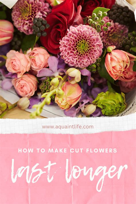 How To Make Cut Flowers Last Longer Tips And Tricks A Quaint Life