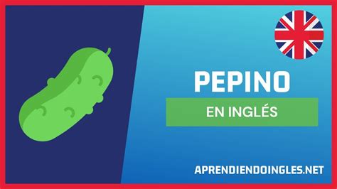 CÓmo Decir Pepino En InglÉs 2021 🥒 Aprende A Escribir Cucumber