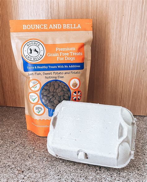 ‘egg Box Treats Diy Brain Games For Dogs Bounce And Bella