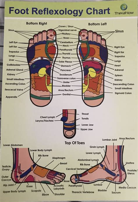 Pin By Rachel On Reflexology Reflexology Chart Foot Reflexology