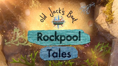 Bbc Sounds Old Jacks Boat Rockpool Tales Available Episodes