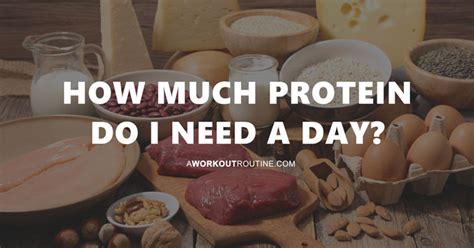 How Much Protein Do I Need To Eat A Day The Evidence Based Guide