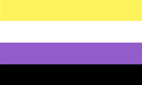 Non Binary Enby Pride Flag In 2022 Gender Identity Pride Flags