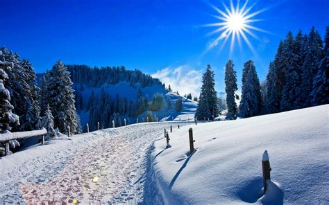 Snow Covered Winter Landscape 4k Wallpapers Wallpaper Cave