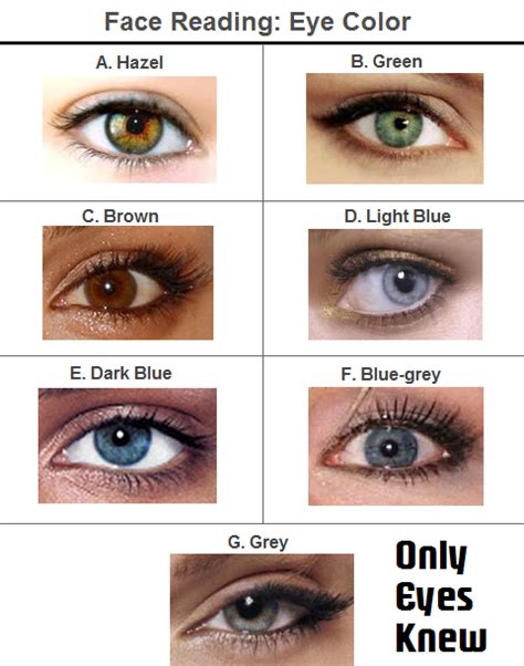 Eye Color Facts Eye Color Chart Eye Color Chart Genetics