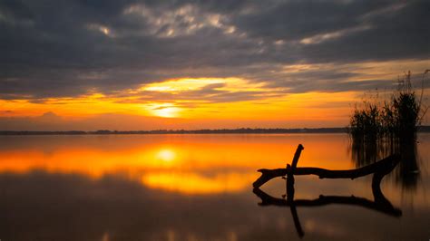 Sunset Peaceful Lake Water Reeds Cane Orange Sky Dark Clouds
