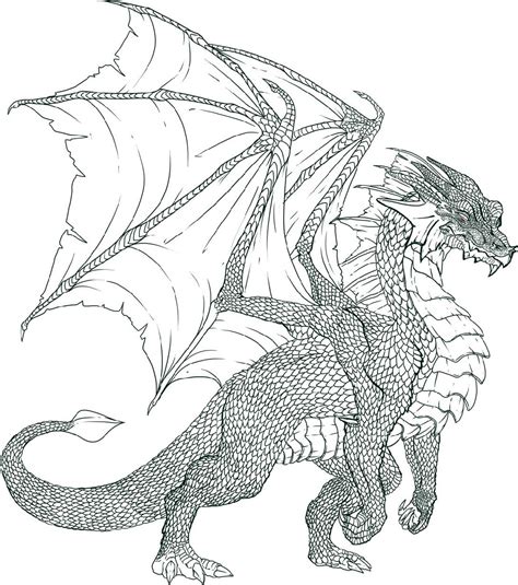 Dragon Coloring Pages Printable Adult Adults Kids Sketch Coloring Page