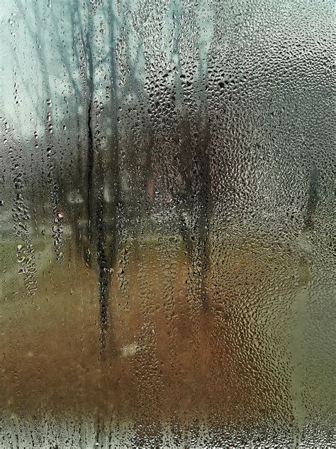 Cold Rainy Day Photograph By Branislav Savev