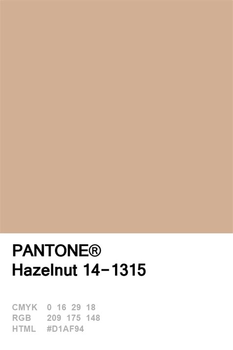Pantone Hazelnut Pantone Colour Palettes Summer Color Trends