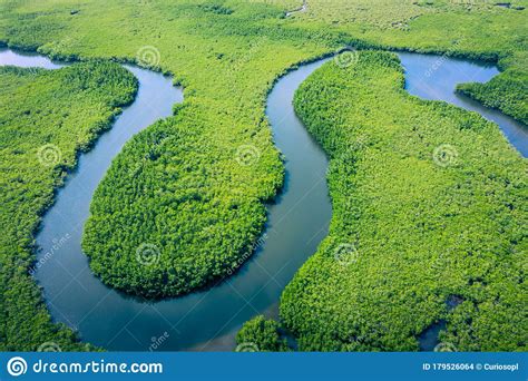 Aerial View Of Amazon Rainforest In Brazil South America Green Forest