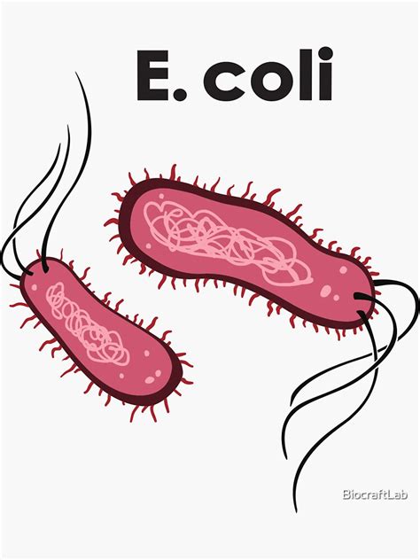 E Coli Sticker By Biocraftlab Redbubble