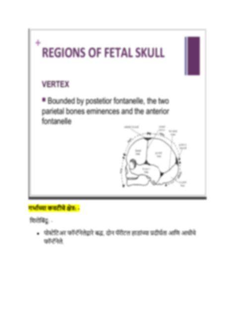 Solution Regions Of Fetal Skull Studypool
