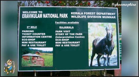 Top 5 National Parks In Kerala