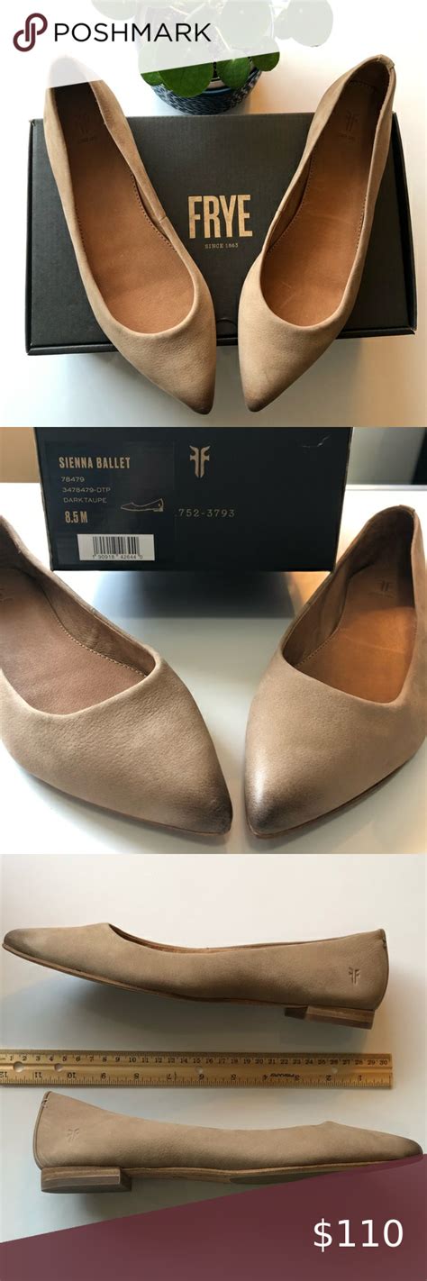 Frye Sienna Pointy Toe Ballet Flat 85m Frye Ballet Flats Pointy Toe