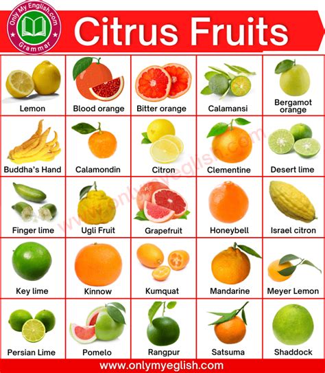 Citrus Fruits List Of 30 Citrus Fruits Are Rich In Vitamin C