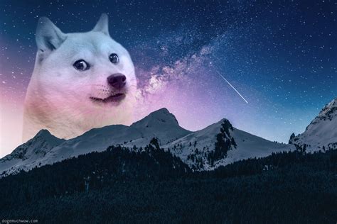 7 Space Doge Wallpapers In Hd 🚀 In 2021 Doge Much Wow Doge Dog Doge