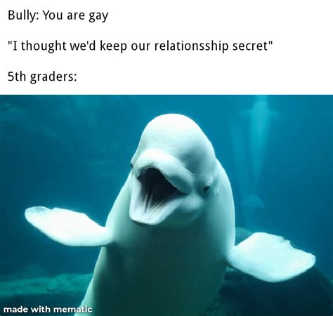 Insanely Bad Whale Memes Odd Nugget