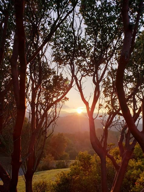 Sun Pokes Out In Palo Alto Hills Photo Of The Week Palo Alto Ca Patch