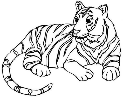 A Fulfiled Adult Tiger After Its Meal Coloring Page Download And Print