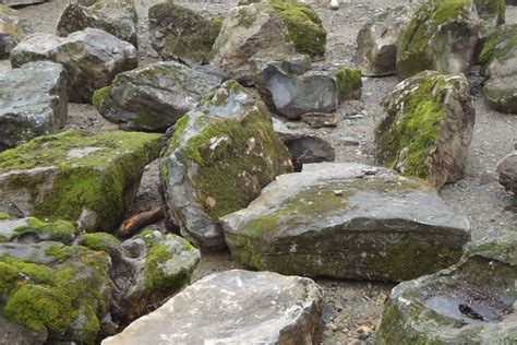 The combination of wind, rain, moss and lichen makes these boulders look as if they have been in any landscape for years. Moss Rock - Wicki Stone