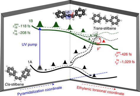 Of The Excited State Dynamics Of Cis Stilbene Schematic Representation