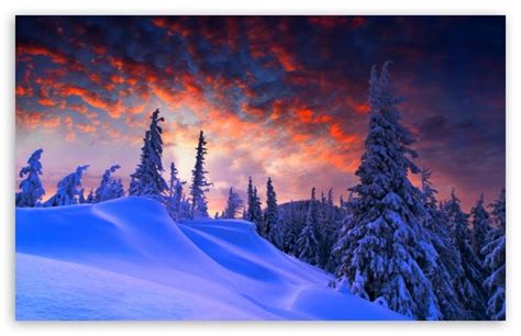 Winter Christmas Hd Desktop Wallpaper Widescreen High