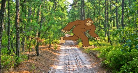 Bigfoot Sighting In New Jersey Maybe Not Skeptical Inquirer