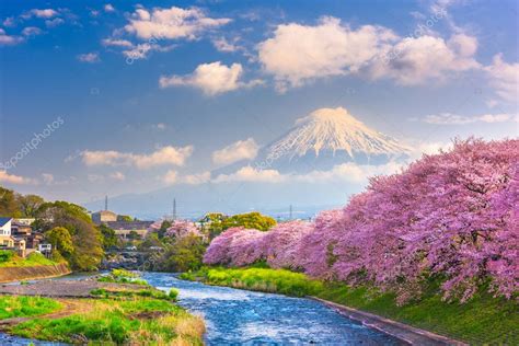 Fuji Japan Spring Landscape River Cherry Blossoms — Stock Photo