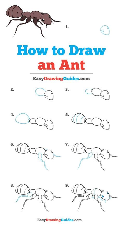 How To Draw An Ant Really Easy Drawing Tutoria Easy Drawings