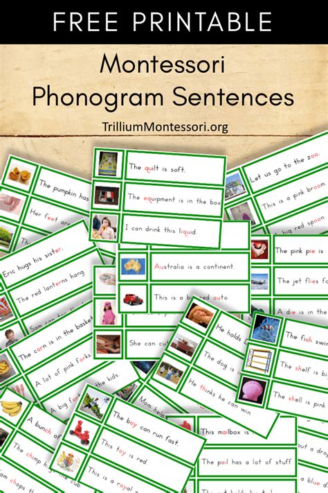 Free Montessori Printable Phonogram Sentences Trillium Montessori