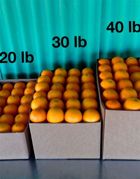 40 Lb Navel Oranges Citrus Heights Farms