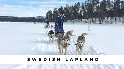 Swedish Lapland Husky Sledding The Ice Hotel Youtube