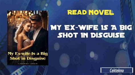 My Ex Wife Is A Big Shot In Disguise Novel By Lindsay Lewis Read Online