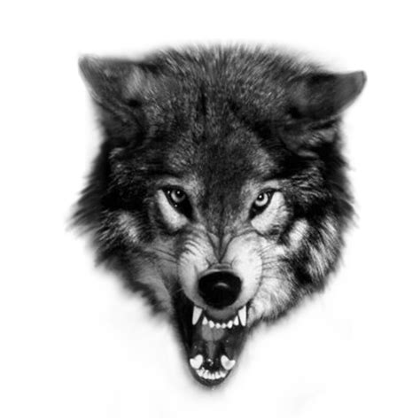 A Wolf With Its Mouth Open And Its Teeth Wide Open In Black And White