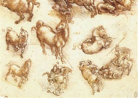 Leonardo Da Vinci Saw In Animals The ‘image Of The World