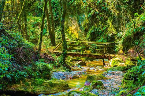 Moss Covered Bridge 2553377 Stock Photo At Vecteezy