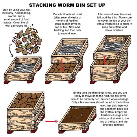 Create A Worm Composting System In 10 Easy Steps Gambaran