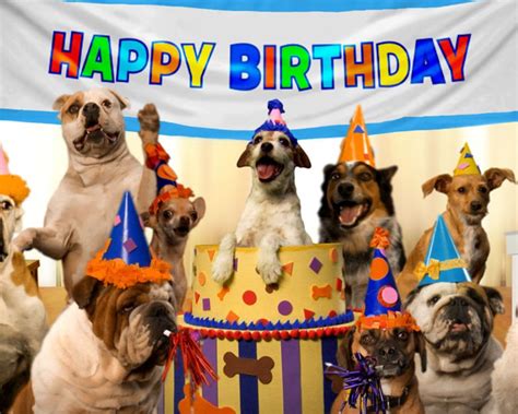 Happy Birthday Dog Ecard Carlita Hailey