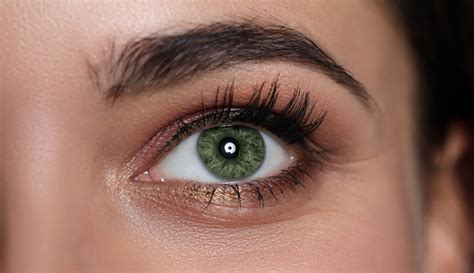 eye makeup for green eyes and dark hair