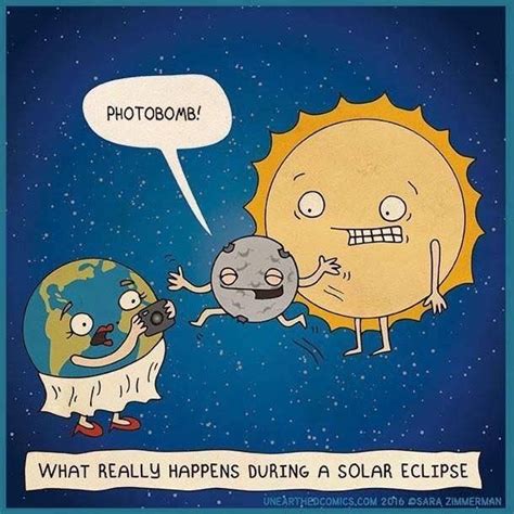 Pin By Magdel Loock On Funny Solar Eclipse Activity Science Jokes
